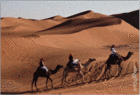Sahara Yogatrip Yogitrip Meditationen Wueste Atemuebungen
